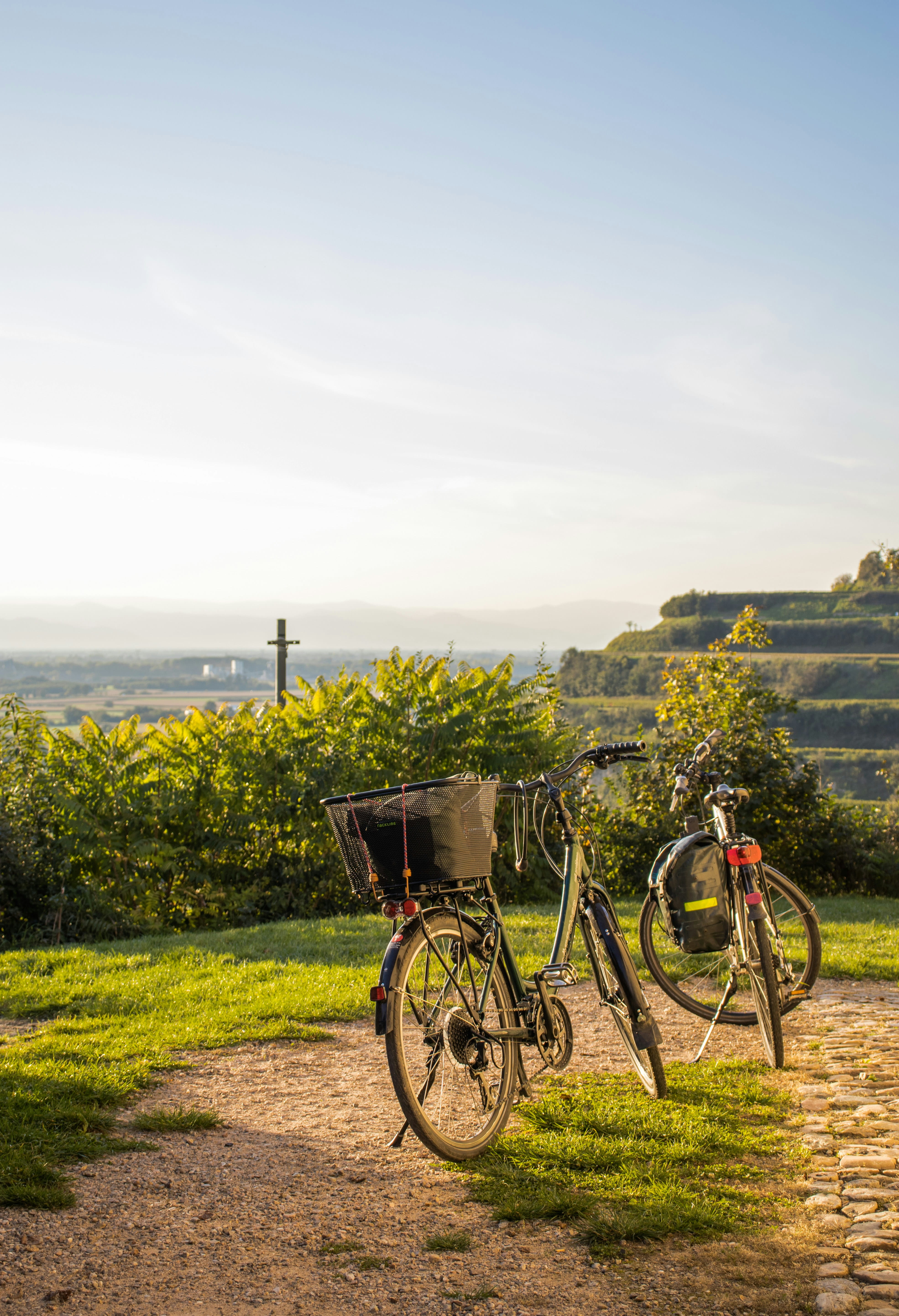 Cycling in nature
