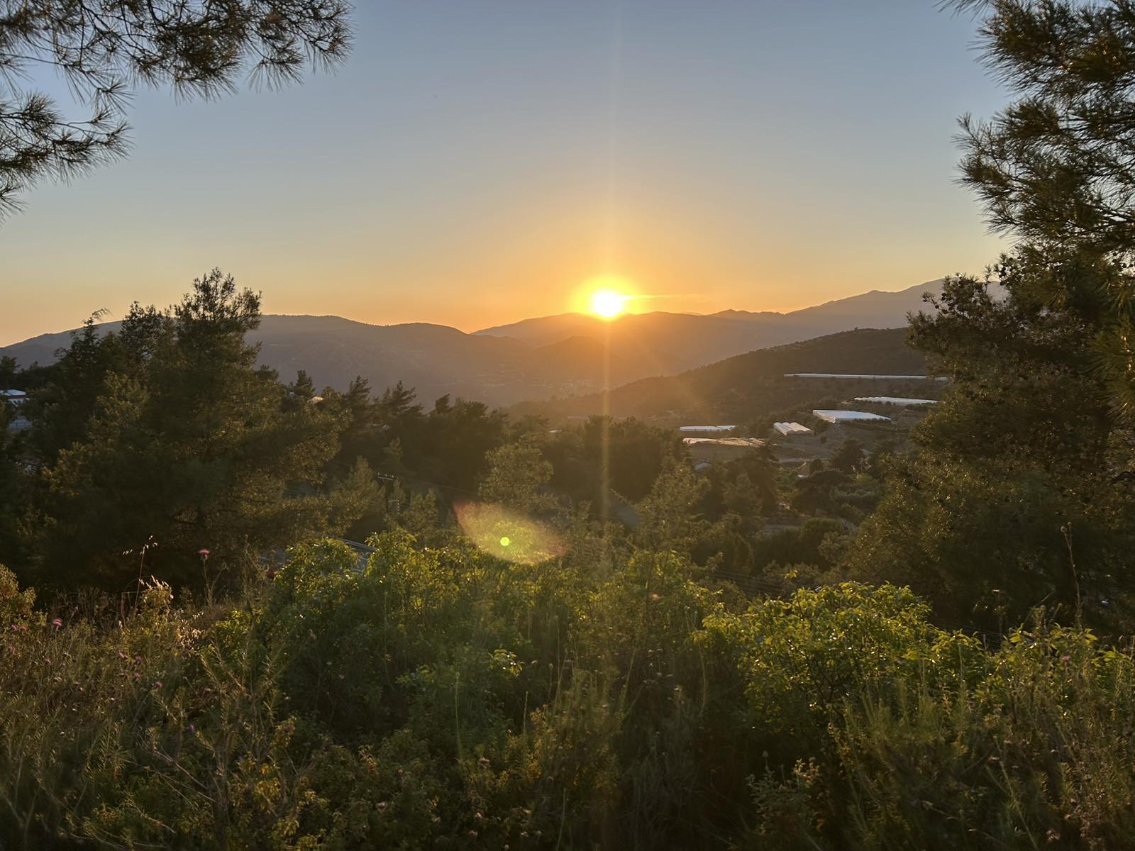 Sunset