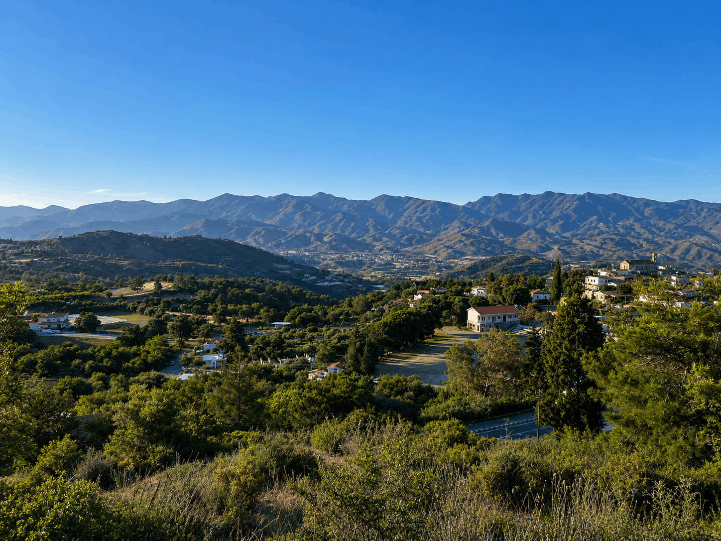 View of nature