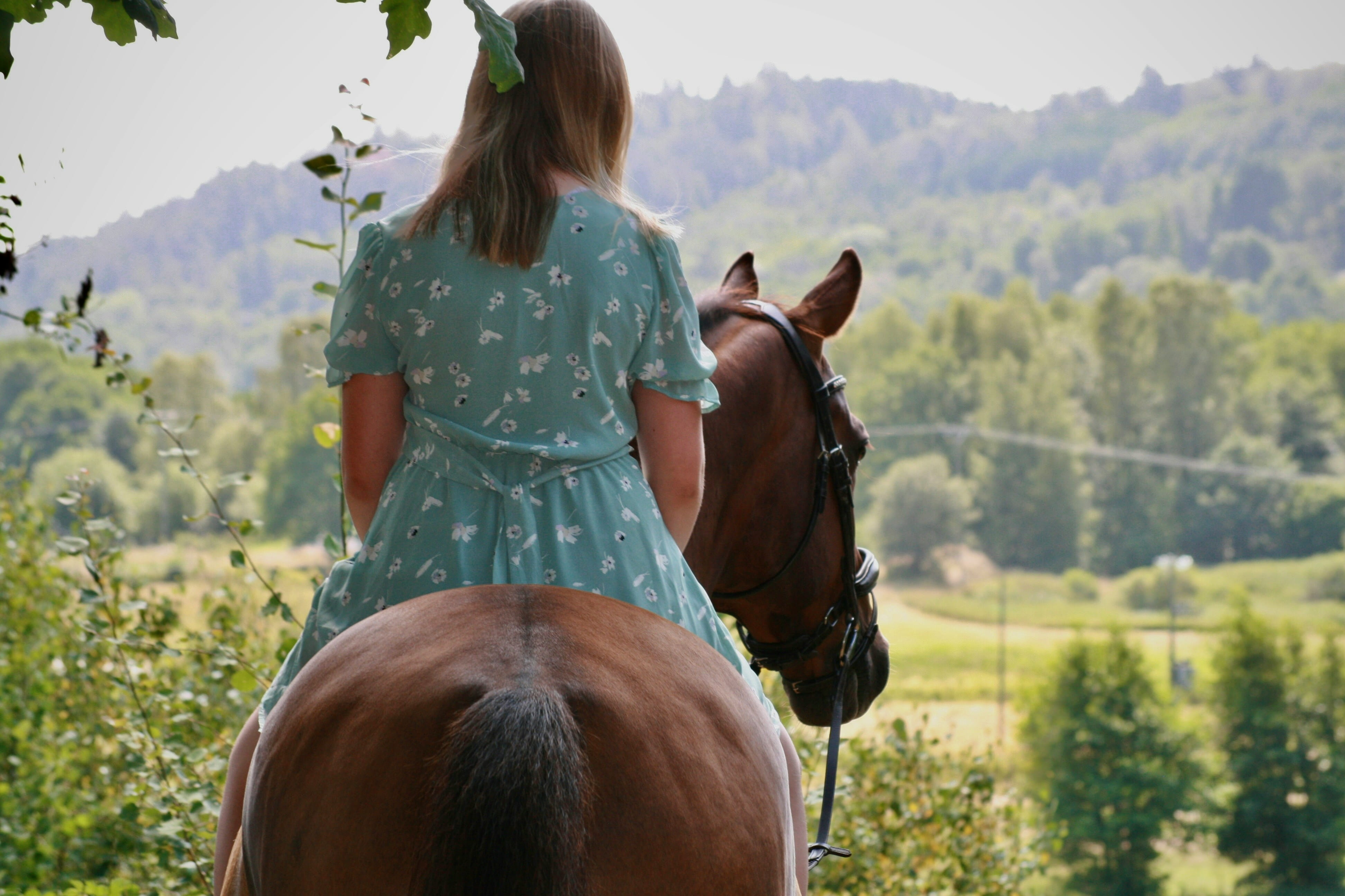 Horse riding